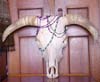 skull,cow,big horns